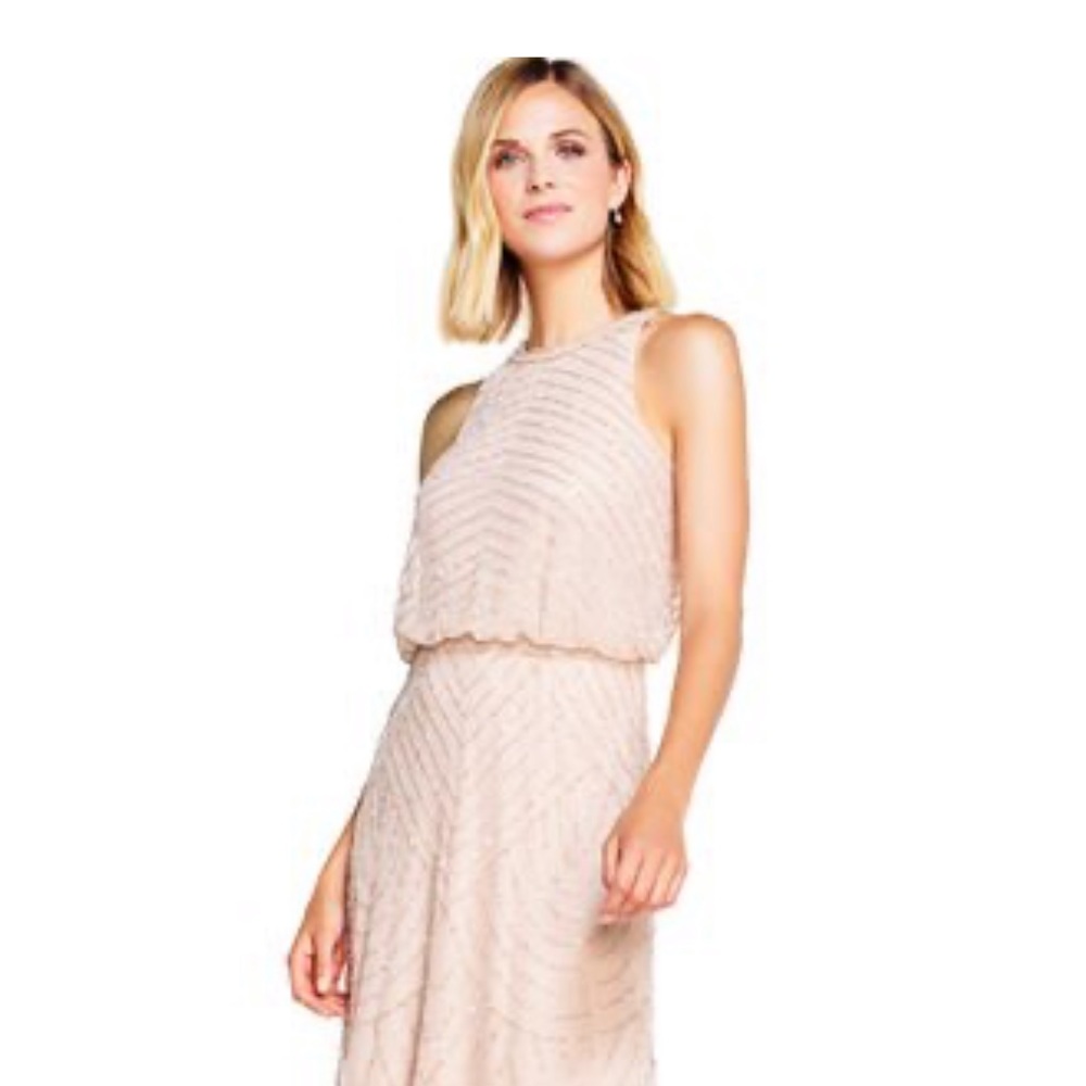 Adrianna Papell Art Deco Beaded Blouson Dress pink